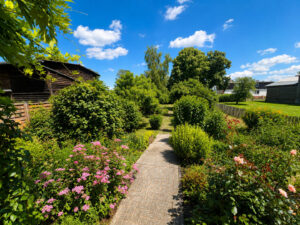 Blick in den Garten