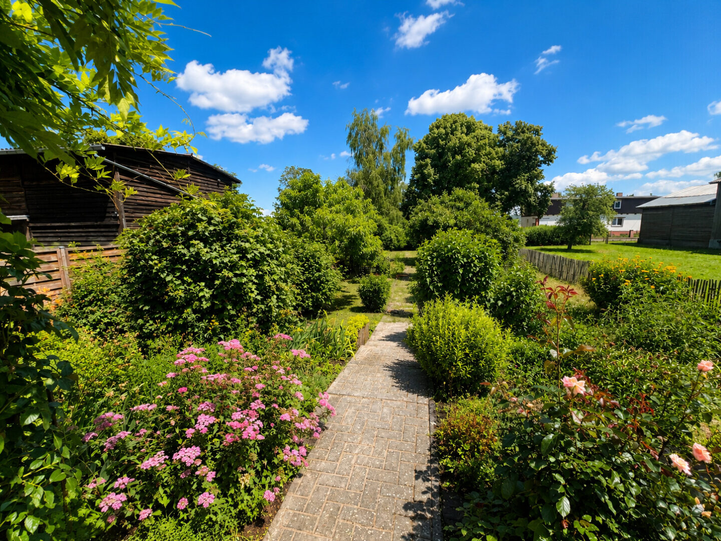 Blick in den Garten