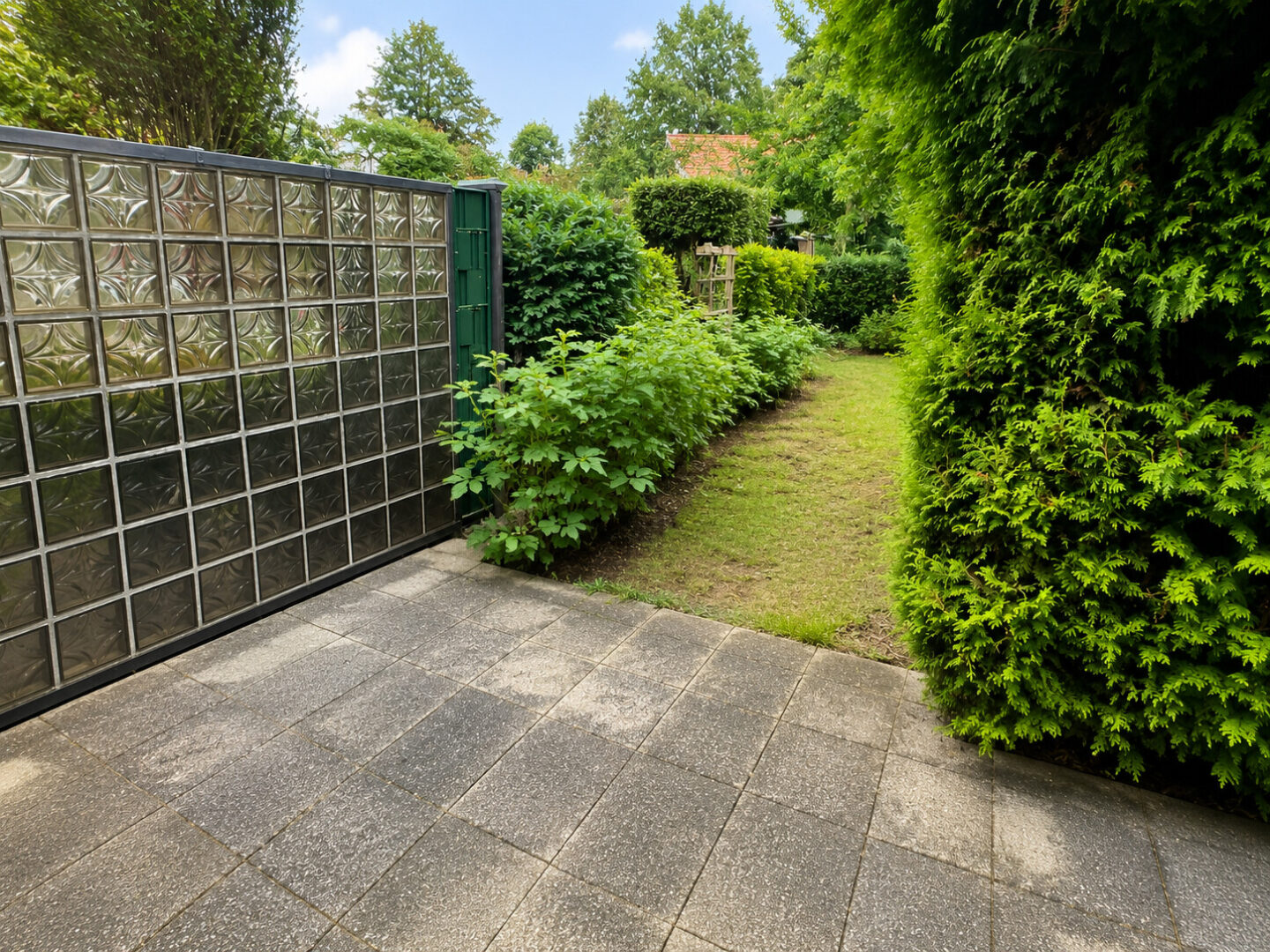 Blick in den Garten