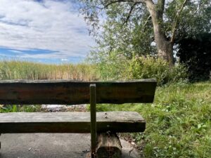 Naturnaher Uferbereich in unmittelbarer Nähe