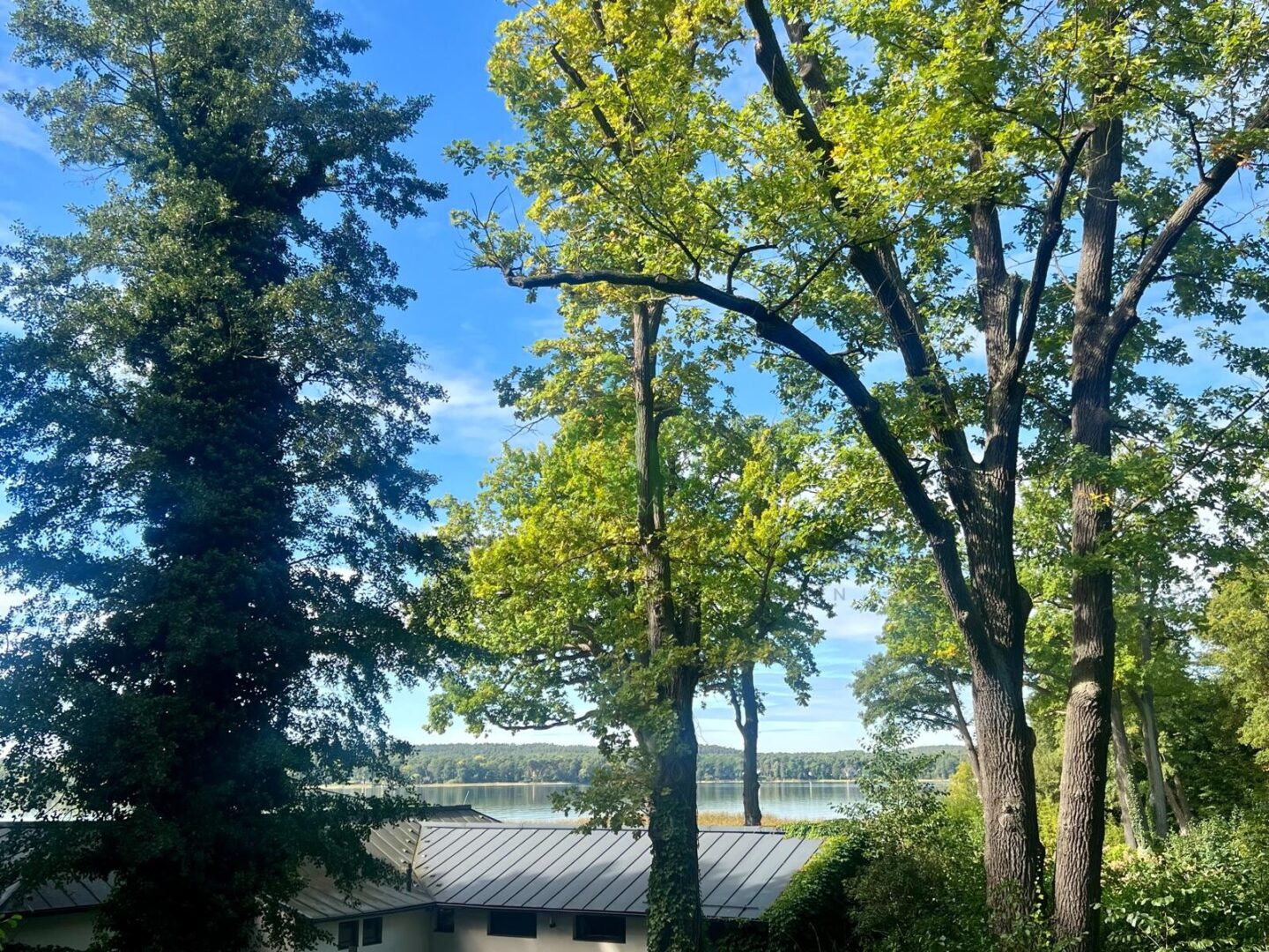 Blick vom Balkon in Richtung Scharmützelsee