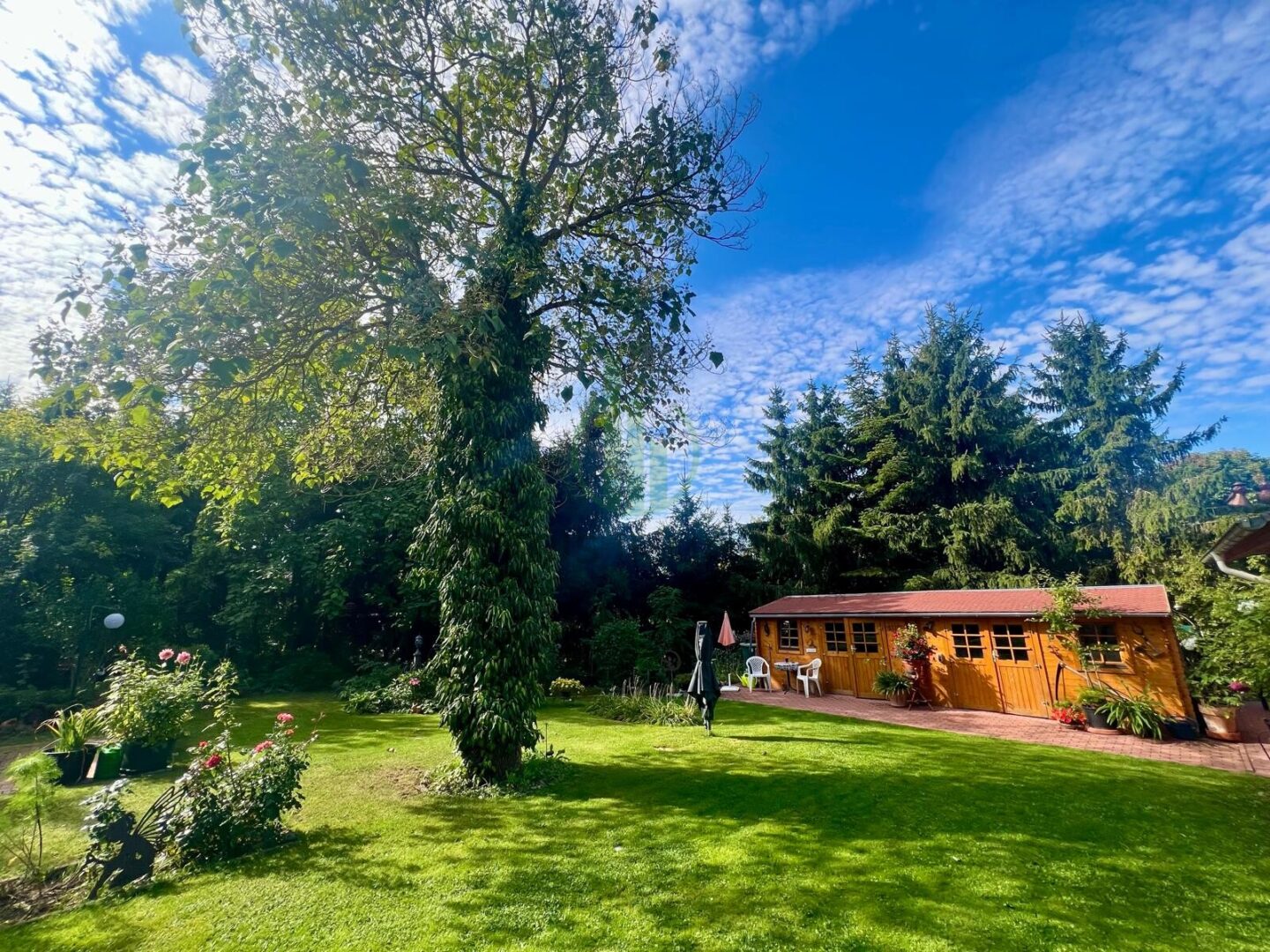 Garten mit Gartenhaus